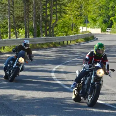 Bild für Kurventraining